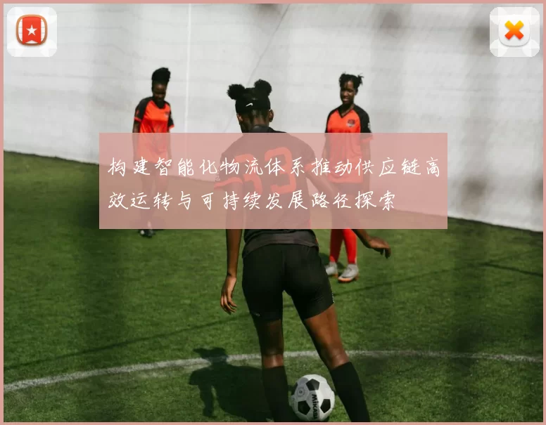 构建智能化物流体系推动供应链高效运转与可持续发展路径探索