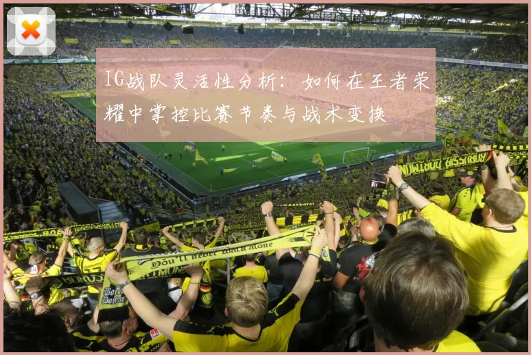 IG战队灵活性分析：如何在王者荣耀中掌控比赛节奏与战术变换