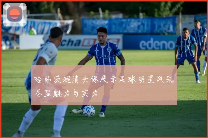 哈弗茨超清头像展示足球明星风采尽显魅力与实力