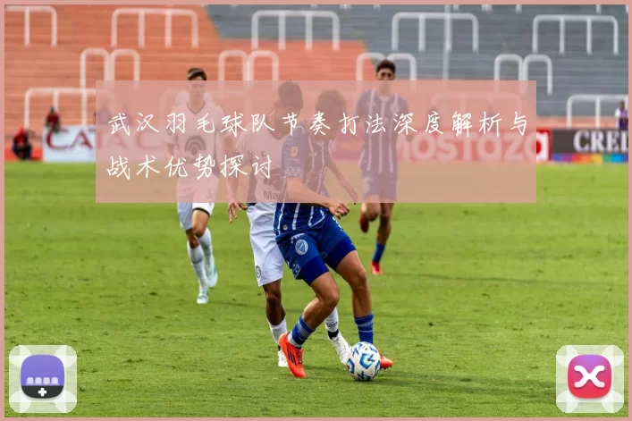 武汉羽毛球队节奏打法深度解析与战术优势探讨