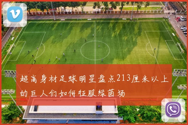 超高身材足球明星盘点213厘米以上的巨人们如何征服绿茵场