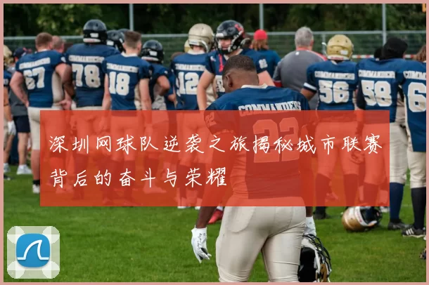 深圳网球队逆袭之旅揭秘城市联赛背后的奋斗与荣耀