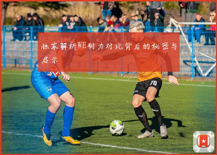 独家解析WE耐力对比背后的秘密与启示