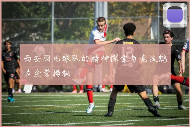 西安羽毛球队的精神探索与竞技魅力全景揭秘