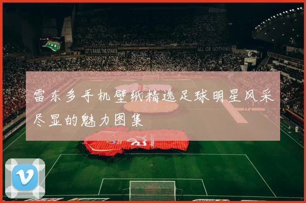 雷东多手机壁纸精选足球明星风采尽显的魅力图集