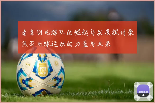 南京羽毛球队的崛起与发展探讨聚焦羽毛球运动的力量与未来