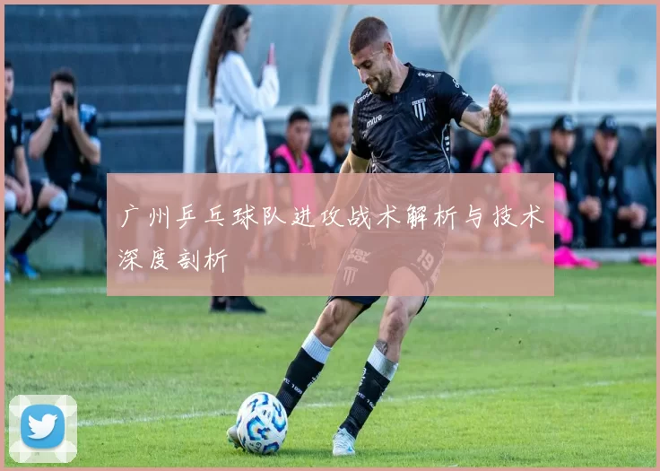 广州乒乓球队进攻战术解析与技术深度剖析
