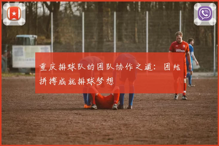 重庆排球队的团队协作之道：团结拼搏成就排球梦想