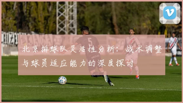 北京排球队灵活性分析：战术调整与球员适应能力的深度探讨