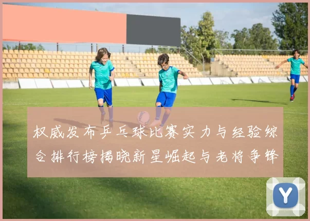 权威发布乒乓球比赛实力与经验综合排行榜揭晓新星崛起与老将争锋
