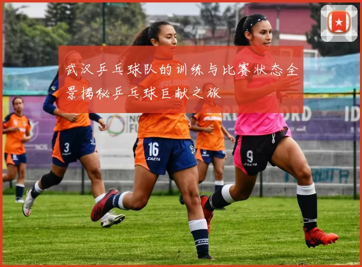 武汉乒乓球队的训练与比赛状态全景揭秘乒乓球巨献之旅