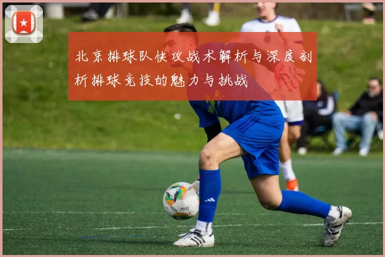 北京排球队快攻战术解析与深度剖析排球竞技的魅力与挑战