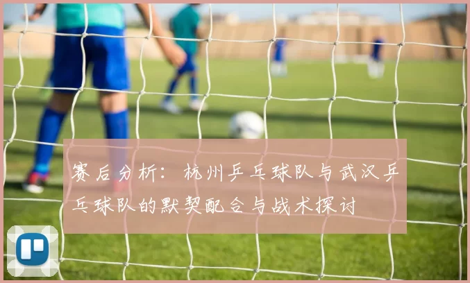 赛后分析：杭州乒乓球队与武汉乒乓球队的默契配合与战术探讨