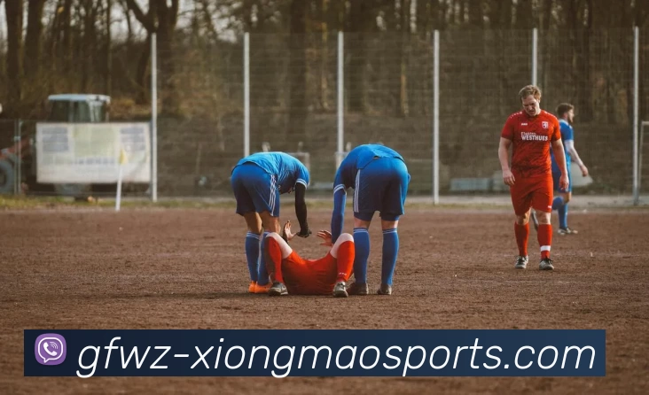 熊猫体育服务体系